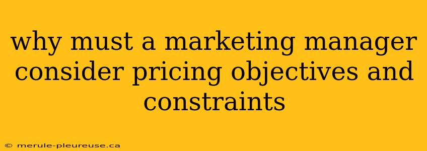 why must a marketing manager consider pricing objectives and constraints