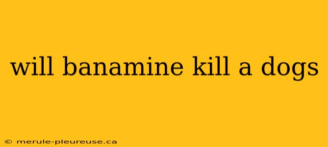 will banamine kill a dogs