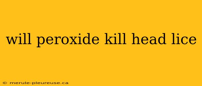 will peroxide kill head lice