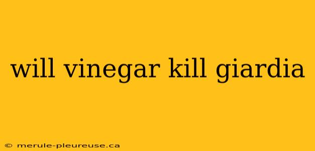 will vinegar kill giardia