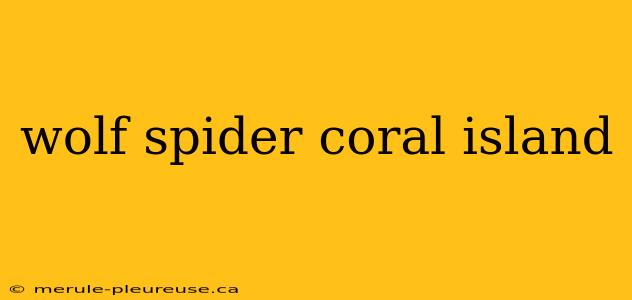 wolf spider coral island