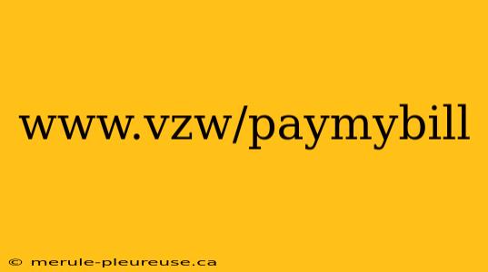 www.vzw/paymybill