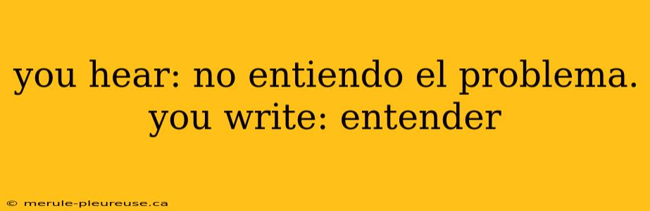 you hear: no entiendo el problema. you write: entender