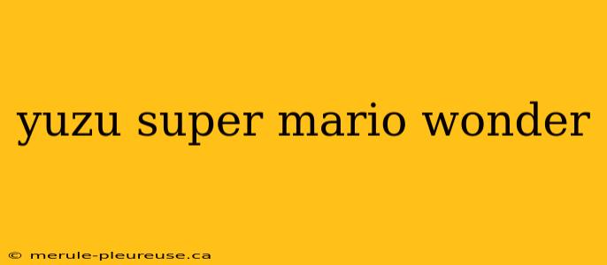 yuzu super mario wonder